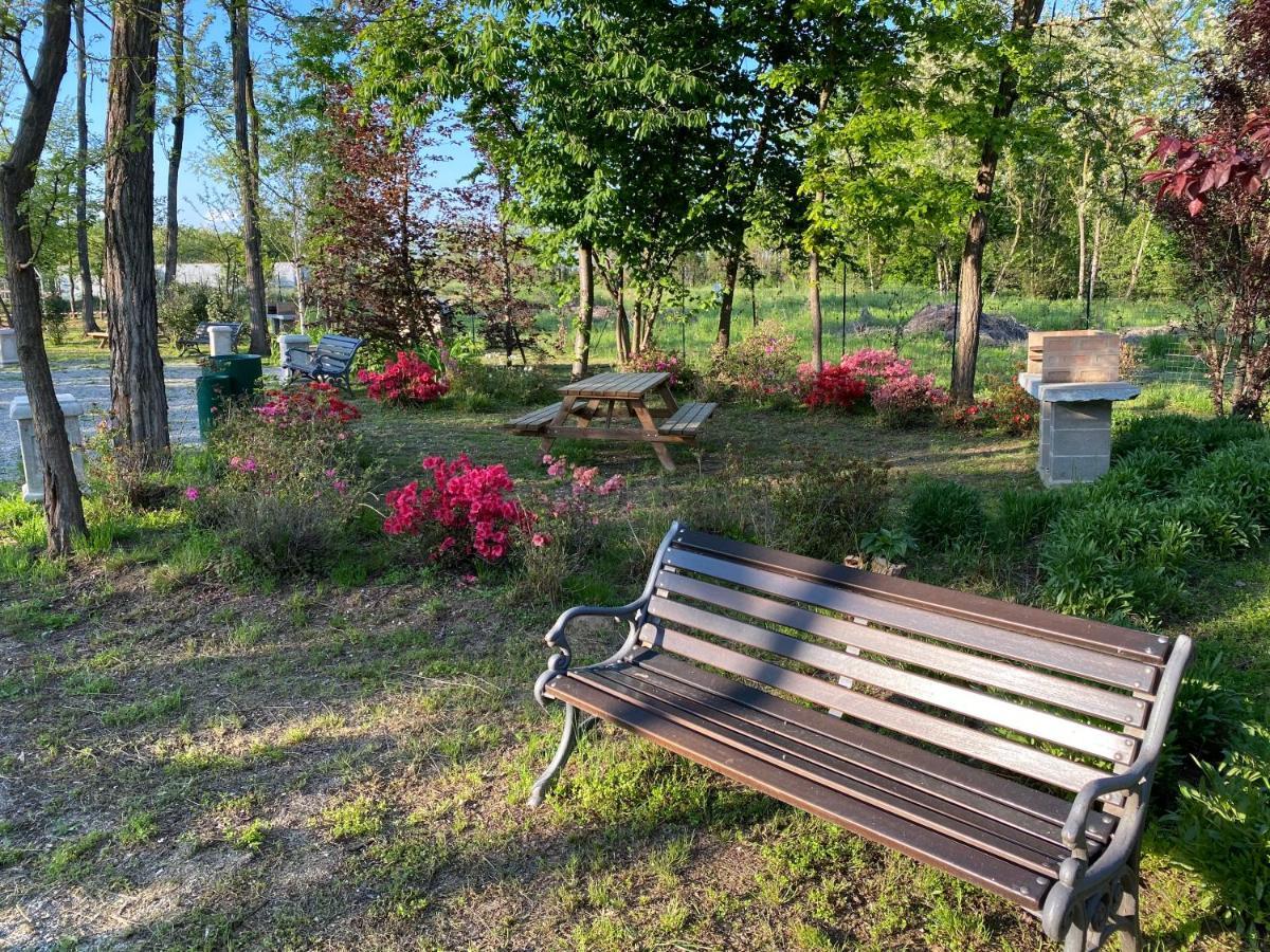 Oasilandia Bed & Breakfast Dorno Екстериор снимка
